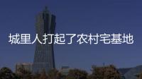 城里人打起了农村宅基地的“歪主意”，根源何在？