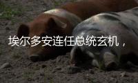 埃尔多安连任总统玄机，建国百年的“土耳其三变”丨智库视点