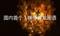 国内首个
！横琴首发葡语大模型