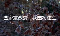 国家发改委：我国将建立和实施育儿补贴制度