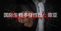 国际生物多样性日：菲亚特动力科技助力特提斯研究所地中海鲸目动物和海洋环境