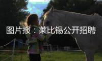 图片报：莱比锡公开招聘厨师
，为球员和工作人员提供餐饮服务