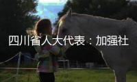 四川省人大代表：加强社科优秀成果奖励 助推四川社科强省建设