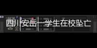 四川安岳一学生在校坠亡	，官方通报