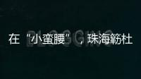 在“小蛮腰”，珠海簕杜鹃灿烂绽放	！