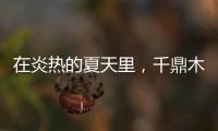 在炎热的夏天里
	
，千鼎木门为您送上一份清凉!