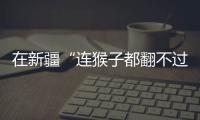在新疆“连猴子都翻不过的山”
，查缉、抢险和反恐维稳