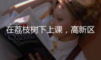 在荔枝树下上课
，高新区这群青少年直呼“有韵味！”