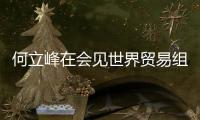 何立峰在会见世界贸易组织总干事伊维拉时指出	：中方坚定支持多边主义和自由贸易 支持世界贸易组织在全球经济治理中发挥更大作用