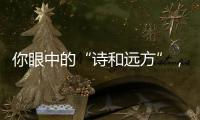 快排公司十年历程，霸屏兔 seo 的崛起与坚守