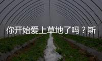 你开始爱上草地了吗	？斯瓦泰克：是的，今年有趣多了