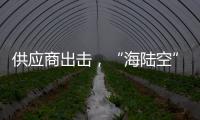供应商出击，“海陆空”登场
	：技术抢镜2025上海车展