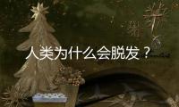 人类为什么会脱发？