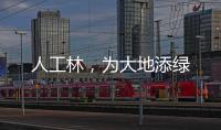 人工林，为大地添绿