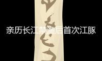 亲历长江禁渔后首次江豚科考，在干旱的鄱阳湖寻找江豚