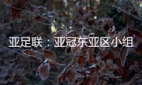 亚足联
：亚冠东亚区小组赛延期至6