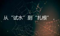 从“试水”到“扎根”，外商拥抱消博会新商机