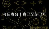 今日春分
！春已至花已开，愿你不负好春光