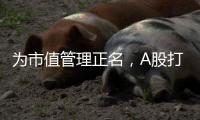 为市值管理正名
，A股打响“慢牛令”	
？