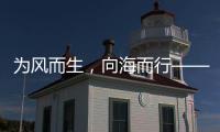 为风而生，向海而行——MVS T6助力海上风电