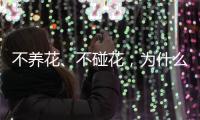 不养花�、不碰花
，为什么还会花粉过敏？