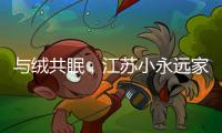 与绒共眠

，江苏小永远家纺家居用品给睡眠升级