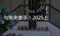 快排公司十年历程，霸屏兔 seo 的崛起与坚守