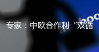 专家
：中欧合作利“双循环”运转