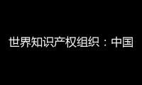 世界知识产权组织：中国是国际专利申请最大来源国