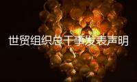 世贸组织总干事发表声明
：欢迎中美经贸高层会谈取得积极成果