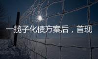 一揽子化债方案后，首现城投“统借统还”案例