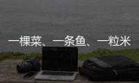 一棵菜、一条鱼、一粒米	：年轻人热衷务农的“乡村振兴密码”