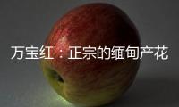 万宝红：正宗的缅甸产花梨木肯定是大果紫檀