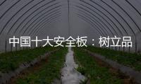 中国十大安全板：树立品牌形象 健康发展