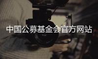 中国公募基金会官方网站观察：在难开“门”的情况下关上“窗”