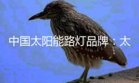 中国太阳能路灯品牌：太阳能路灯促进了城市路灯的创新