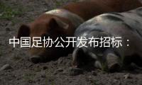 中国足协公开发布招标
：千万布局国足行业大模型