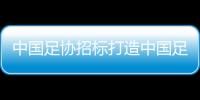 中国足协招标打造中国足球行业大模型，投标限价1068万元