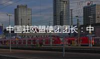 中国驻欧盟使团团长：中欧只有合作才能共赢