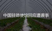 中国驻德使馆回应遭袭事件
：无伤亡 嫌疑人被当场抓获