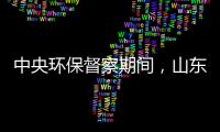 中央环保督察期间�，山东又有陶企被查处!