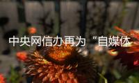 中央网信办再为“自媒体”划红线 新规有何亮点？专家解读来了