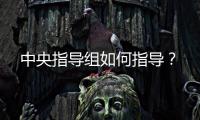 中央指导组如何指导
？
