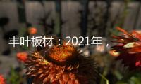 丰叶板材�：2021年，我们想要这样!