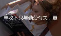 丰收不只与勤劳有关，更与市场和风险相连丨记者手记