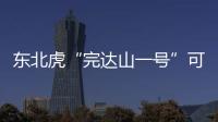 东北虎“完达山一号”可能已“脱单”！