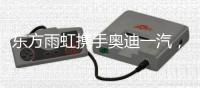 东方雨虹携手奥迪一汽	�，共探绿色未来