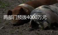 快排公司十年历程，霸屏兔 seo 的崛起与坚守