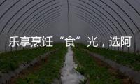 乐享烹饪“食”光，选阿诗丹顿灶具A325B