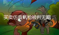 买卖仿真气枪被判无期，一位妻子的十三年诉讼路